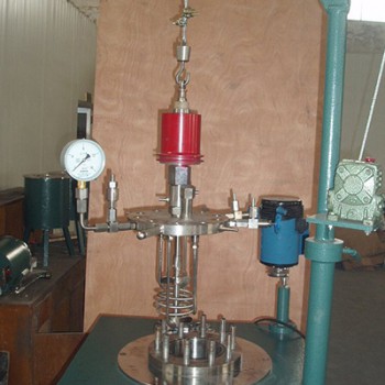 帶升降反應(yīng)釜 帶升降反應(yīng)釜